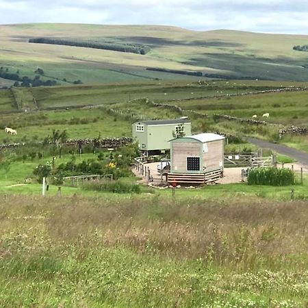 The Buteland Stop Rosie Off Grid Shepherds Hut Bellingham Bagian luar foto
