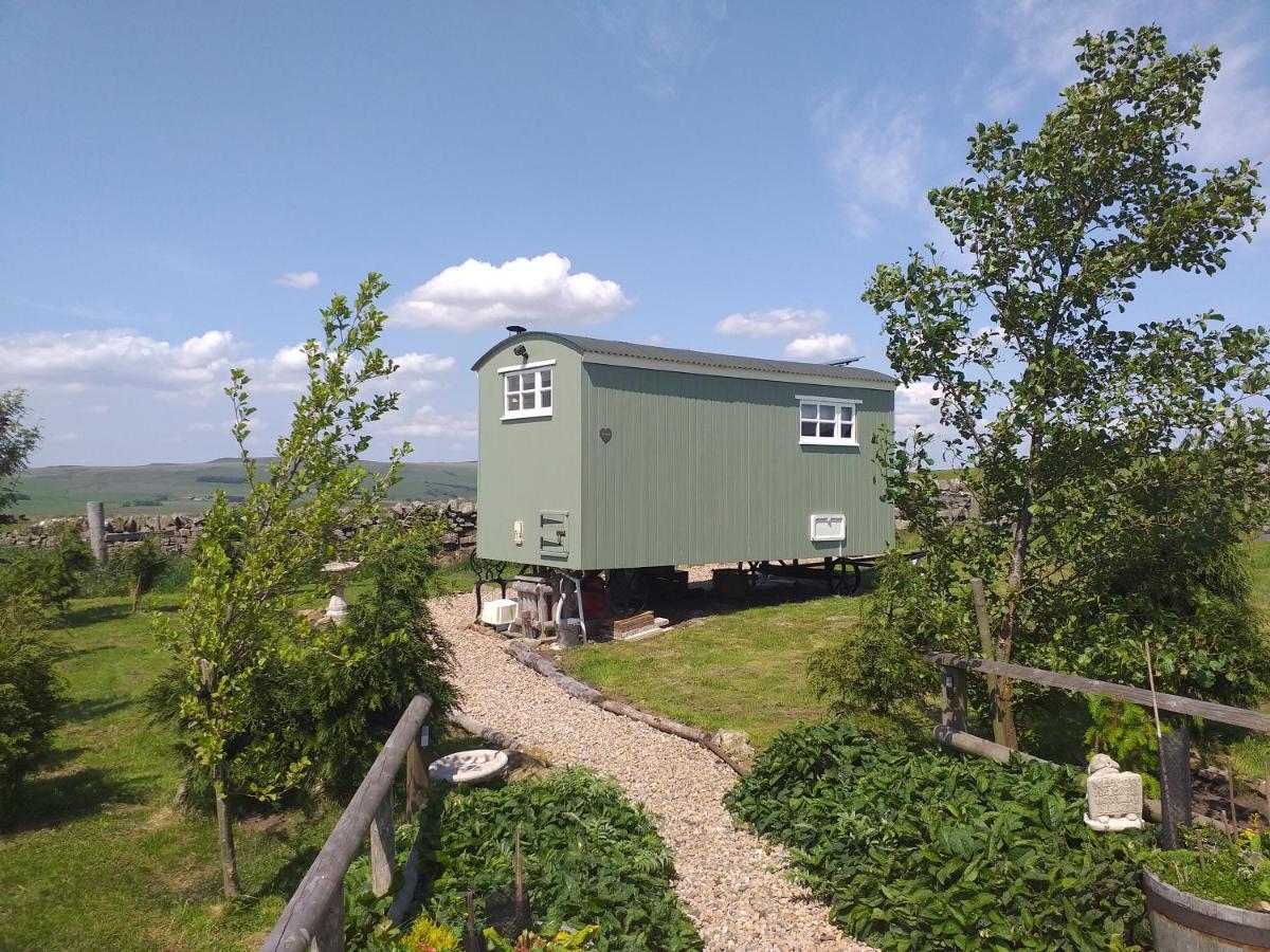 The Buteland Stop Rosie Off Grid Shepherds Hut Bellingham Bagian luar foto