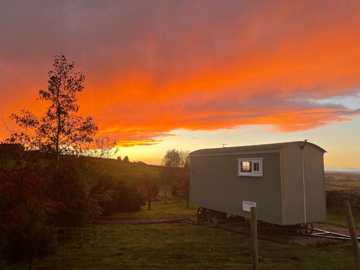 The Buteland Stop Rosie Off Grid Shepherds Hut Bellingham Bagian luar foto
