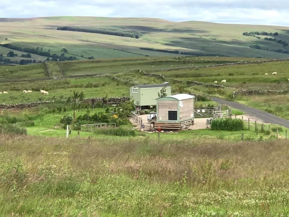 The Buteland Stop Rosie Off Grid Shepherds Hut Bellingham Bagian luar foto