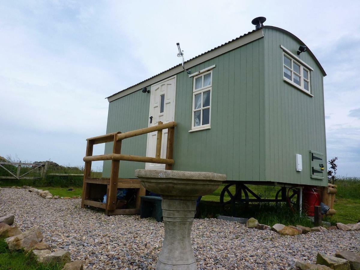 The Buteland Stop Rosie Off Grid Shepherds Hut Bellingham Bagian luar foto