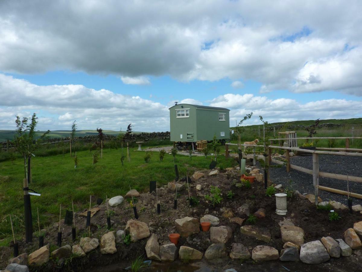 The Buteland Stop Rosie Off Grid Shepherds Hut Bellingham Bagian luar foto