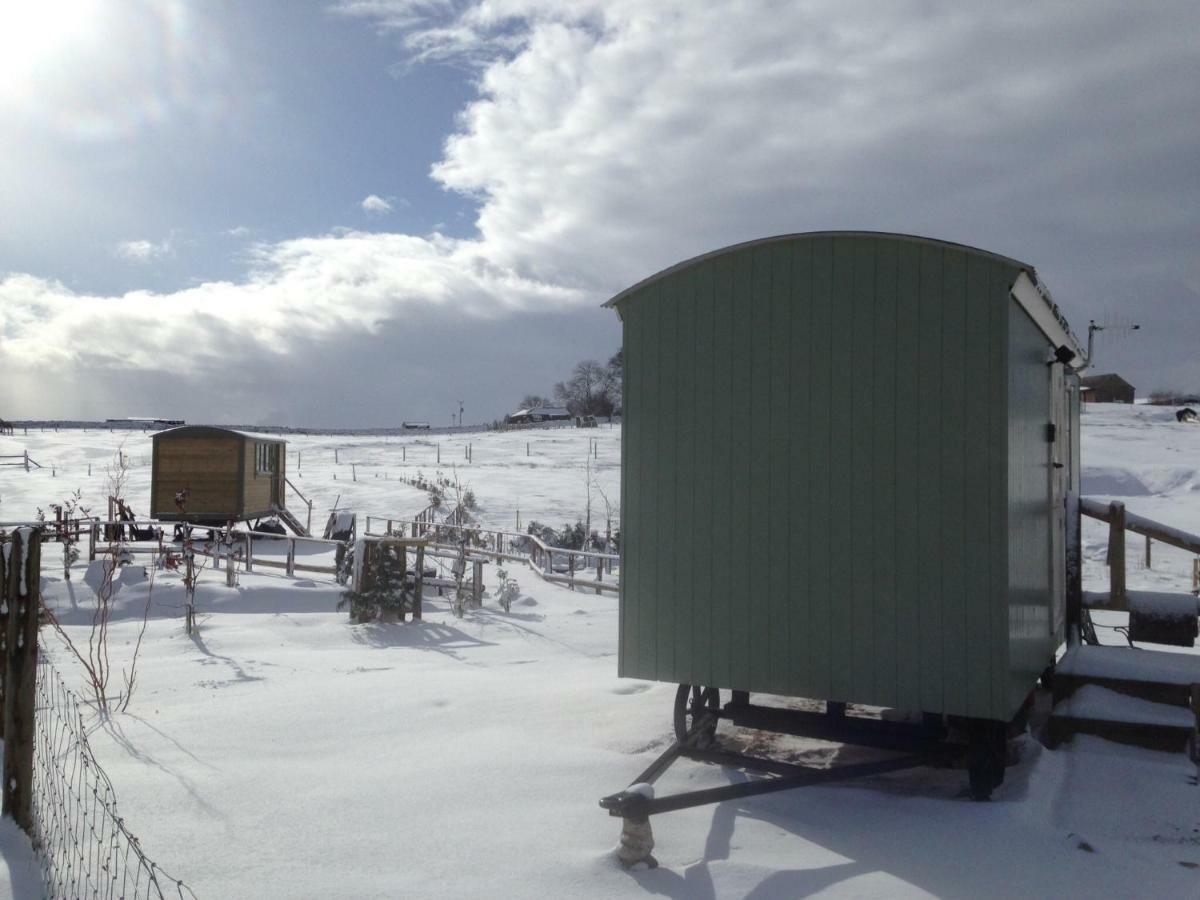The Buteland Stop Rosie Off Grid Shepherds Hut Bellingham Bagian luar foto