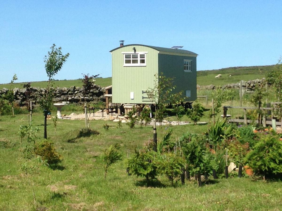 The Buteland Stop Rosie Off Grid Shepherds Hut Bellingham Bagian luar foto