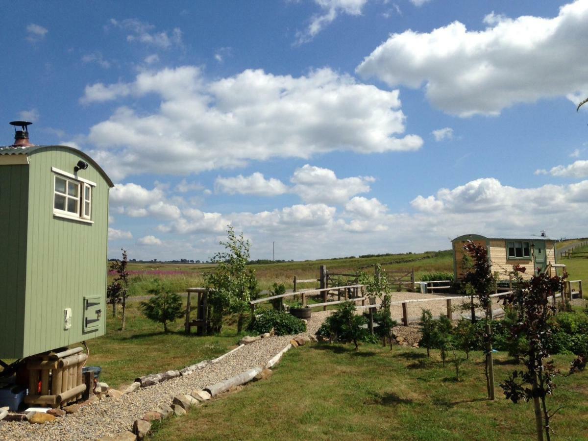 The Buteland Stop Rosie Off Grid Shepherds Hut Bellingham Bagian luar foto